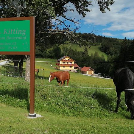 Willa Urlaub Am Bauernhof Familie Kitting Vorau Zewnętrze zdjęcie
