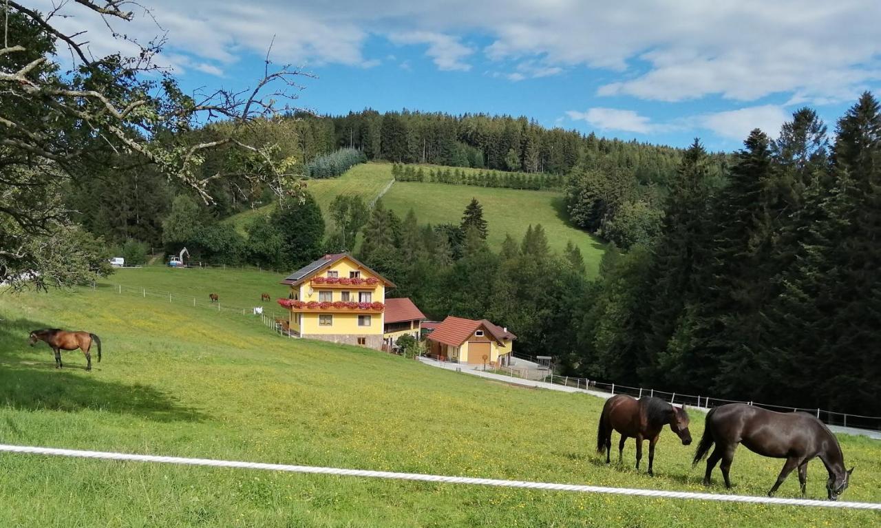 Willa Urlaub Am Bauernhof Familie Kitting Vorau Zewnętrze zdjęcie
