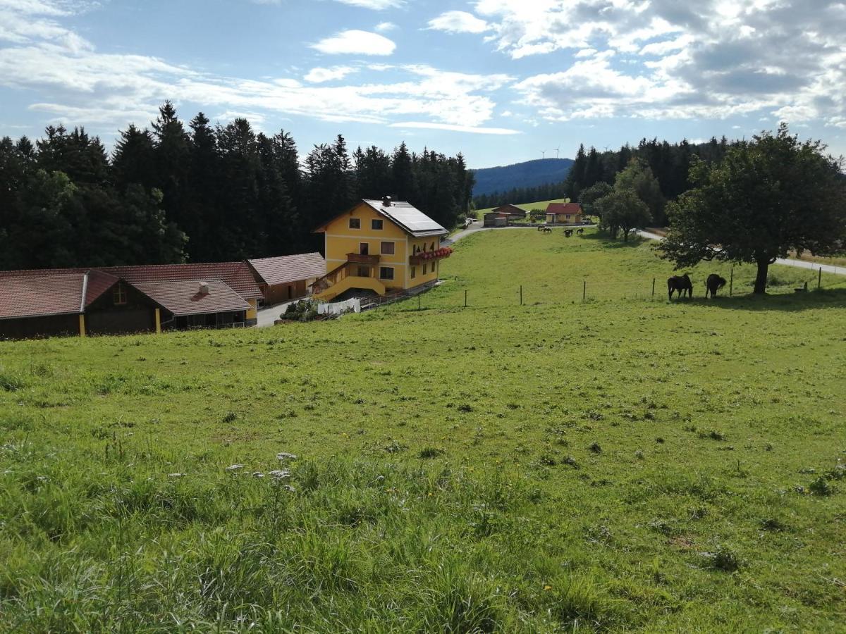 Willa Urlaub Am Bauernhof Familie Kitting Vorau Zewnętrze zdjęcie
