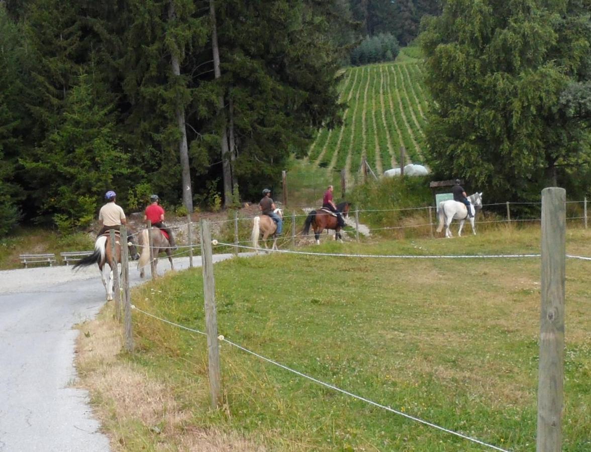 Willa Urlaub Am Bauernhof Familie Kitting Vorau Zewnętrze zdjęcie